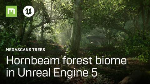 Experience Megascans Trees: European Hornbeam in Unreal Engine 5