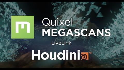 FIRST LOOK: Megascans + Houdini Live Link Trailer