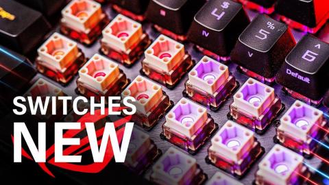These New ROG Switches Change EVERYTHING!