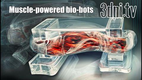 3DPI.TV - 3D Printed Bio Bots Use Mouse Muscle to Move