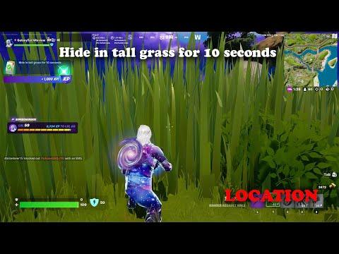 Hide in tall grass for 10 seconds LOCATION