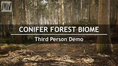 MAWI Conifer Forest Biome | Demo