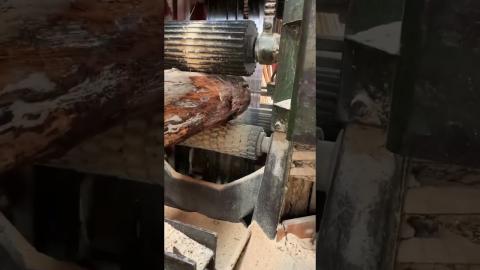 Another Cool Wood Processing ???????????????? #satisfying #shorts