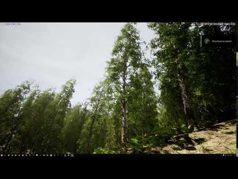 MAWI Birch Forest Biome | Strong Wind Test