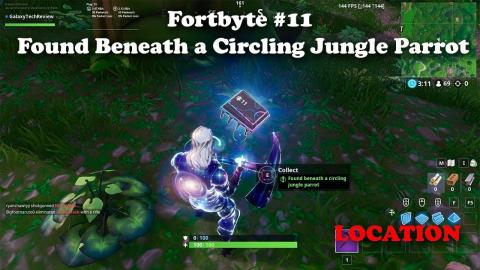 Fortbyte #11 - Found Beneath a Circling Jungle Parrot LOCATION