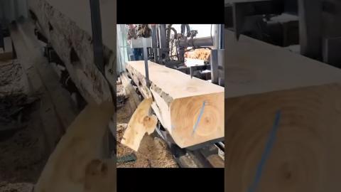 Satisfactory Experience Using A Log Cutting Machine????????????????#satisfying #tools #shorts