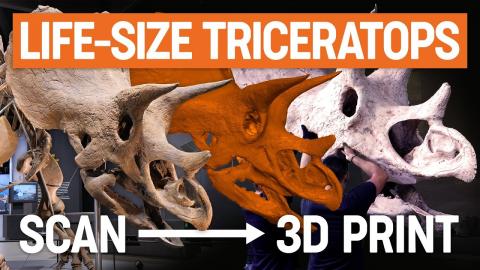 Inside Prusa Research workshop: How we made a life-size Triceratops skull replica