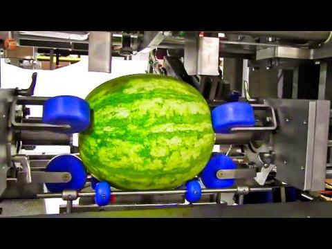 Food Factory Machines operating at an Insane Level▶4