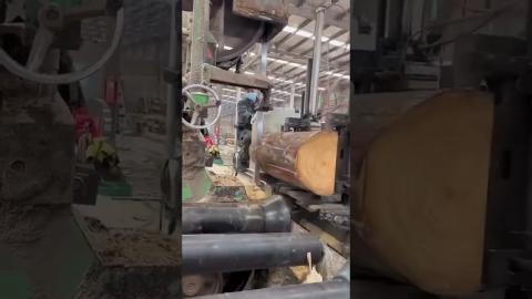 Satisfying Wood Cutting Machine???????????????????????? #satisfying #tools #shorts