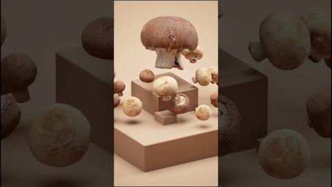 Mushrooms | Quixel Megascans