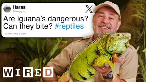 Reptile Expert Answers Reptile Questions From Twitter | Tech Support | WIRED
