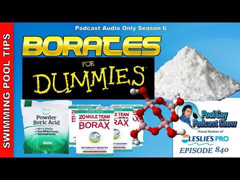 Borates for Dummies: All About Adding Borates to Your Swimming Pool