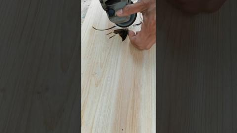 Satisfying Carpentery Tricks ???????????????? #shorts #satisfying #skills