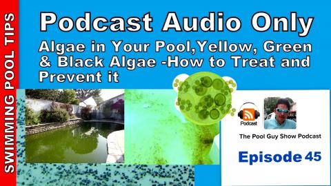 How to Treat Yellow, Green and Black Algae and How to Prevent it in Your Pool