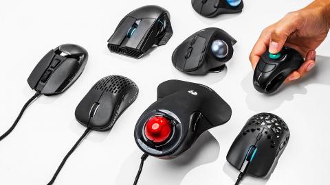 The CRAZIEST Mice Around...but are they any GOOD?