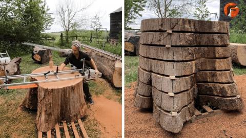 Amazing Tree Cutting Skills & Logging Machines You Must See