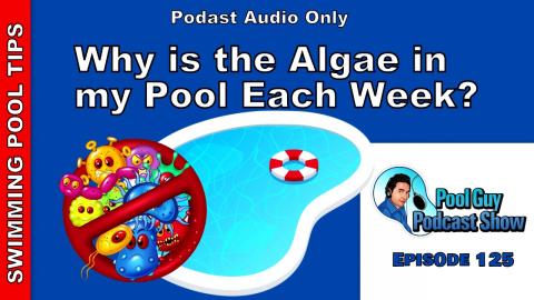 Why is there Algae in my Pool Each Week?