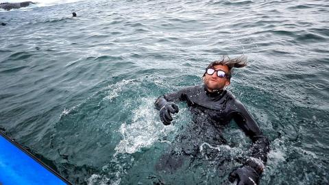 Surfing with GREAT WHITE SHARKS at DUNGEONS SOUTH AFRICA