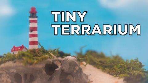 How to Make a Tiny Terrarium