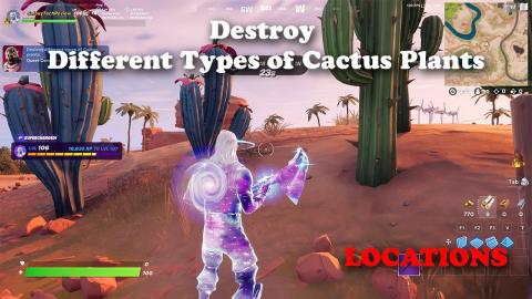 Destroy Different Types of Cactus Plants Locations - Fortnite