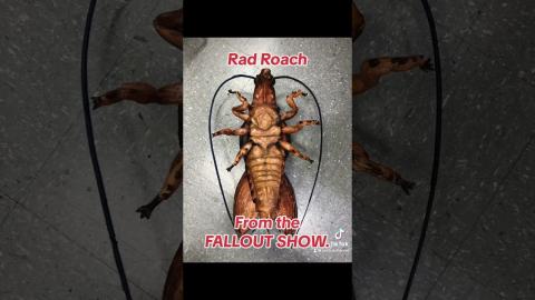 Helped build the Rad Roach from Fallout series #diycosplay #cosplayfoam