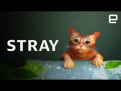 Stray review: A perfectly contained adventure game