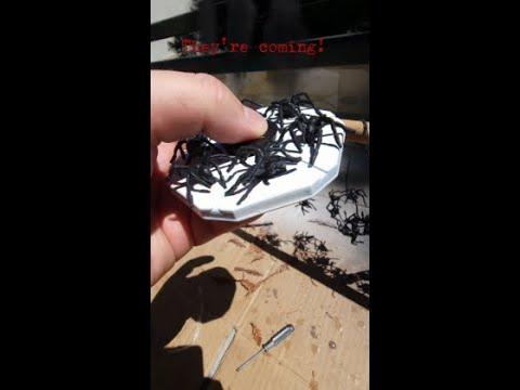 This spider spinner will make your skin crawl