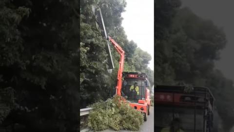 Commercial Tree Cutting Is Highly Satisfying????????#shorts #satisfying