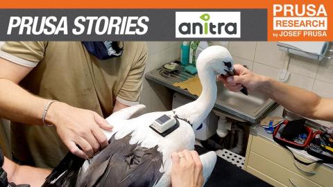 Soaring 3D prints: GPS loggers for migratory birds by Anitra