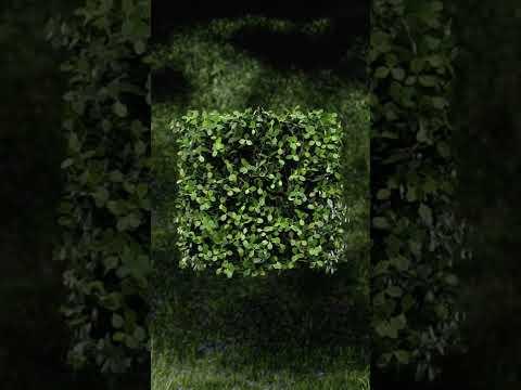 Boxwood Shrubs | Quixel Megascans