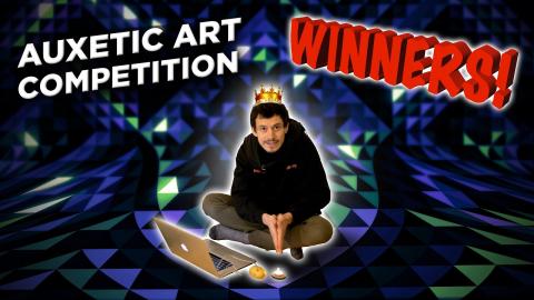 Auxetic Art Competition Winners!