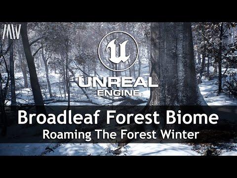 MAWI Broadleaf Forest | Unreal Engine 5 | Roaming The Forest Winter #unrealengine #UE5 #gamedev