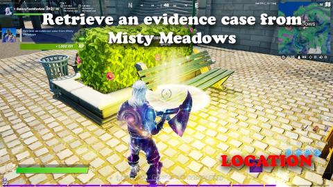 Retrieve an evidence case from Misty Meadows - LOCATION