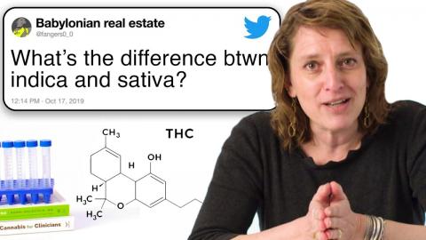 Cannabis Scientist Answers Questions From Twitter | Tech Support | WIRED