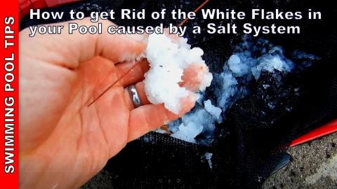 How to Get Rid of the White Flakes in your Pool Caused by Your Salt System (SWG)
