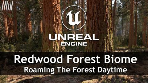 MAWI Redwood Forest | Unreal Engine 5.1 Nanite | Roaming Daytime #unrealengine #UE5 #gamedev