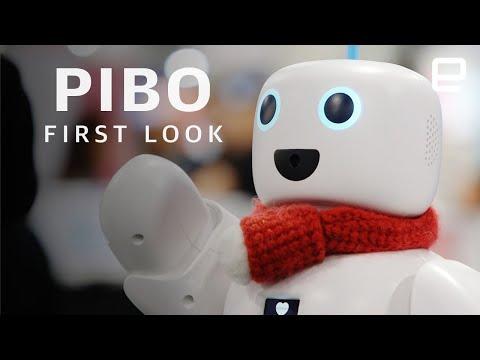 PiBo first look at CES 2020