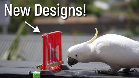 Cute Cockatoo Solves Parrot Puzzles (All new designs!)