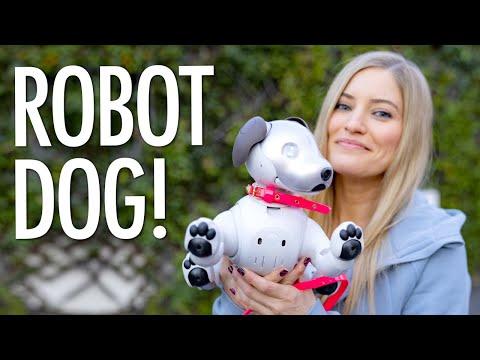 Sony's Robot Dog! A day with AIBO!