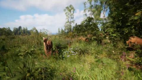 Unreal Engine 5.3 - MAWI - Meadow Forest Animal AI Test #unrealengine #UE5 #gamedev