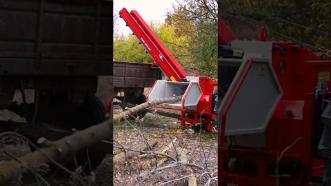Checkout This Amazing Branch Crusher????????#satisfying #shortvideo #shorts