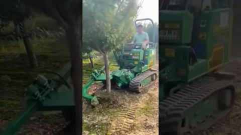 These Machines Can Harvest Trees Perfectly ???????????????? #machine #shortsfeed #shorts