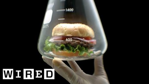 How Meat is Grown in a Lab | WIRED