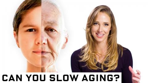 The Science of Slowing Down Aging | WIRED