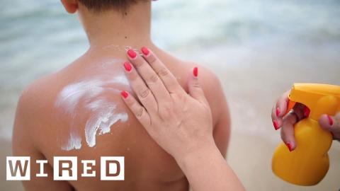 Scientist Explains How Sunscreen Effects Your Body | WIRED