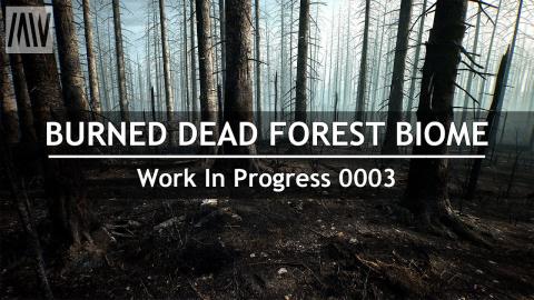 MAWI BurnedDeadForest WIP 0003