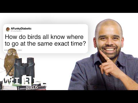 Ornithologist Answers Bird Questions From Twitter | Tech Support | WIRED