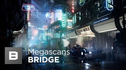 Megascans Bridge Workflow Primer