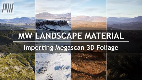 MAWI Tutorial - MWLandscape | Importing Megascan 3D Foliage