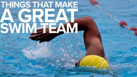 Things That Make A Great Swim Team